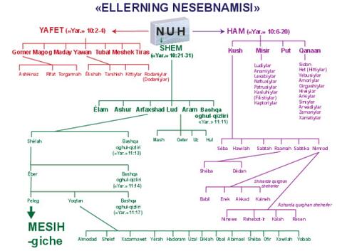 Genealogical Tree-Lat