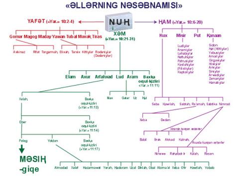 Genealogical Tree Nations-Pinyin