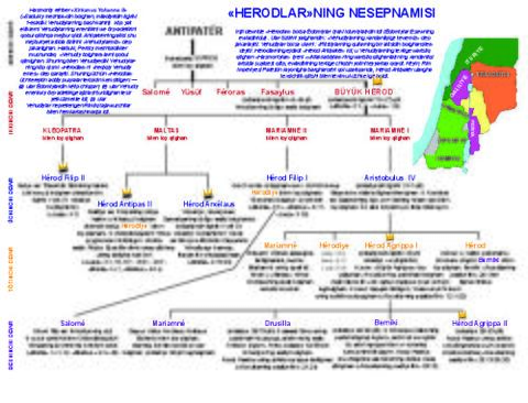 HERODLARNING NESEPNAMIS